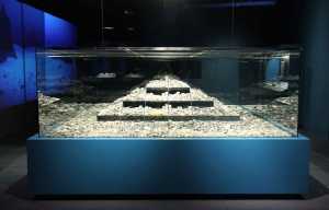 20.-Vitrina-monedas-d[1]