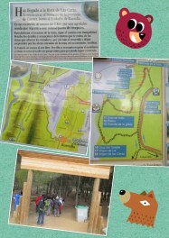 PhotoGrid_1424518932844[1]