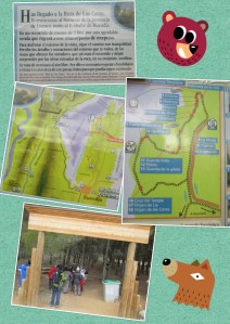 PhotoGrid_1424518932844[1]