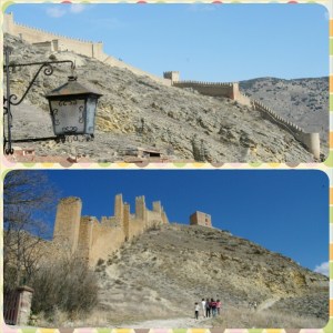 PhotoGrid_1426443764295[1]