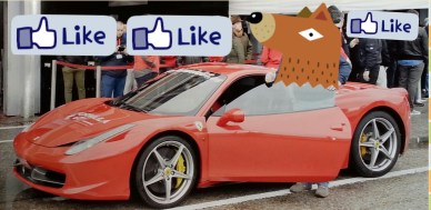 PhotoGrid_1427659779792[1]