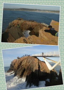 PhotoGrid_1428860463137[1]