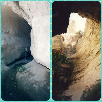 PhotoGrid_1432488296661[1]