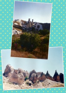 PhotoGrid_1432490145043[1]