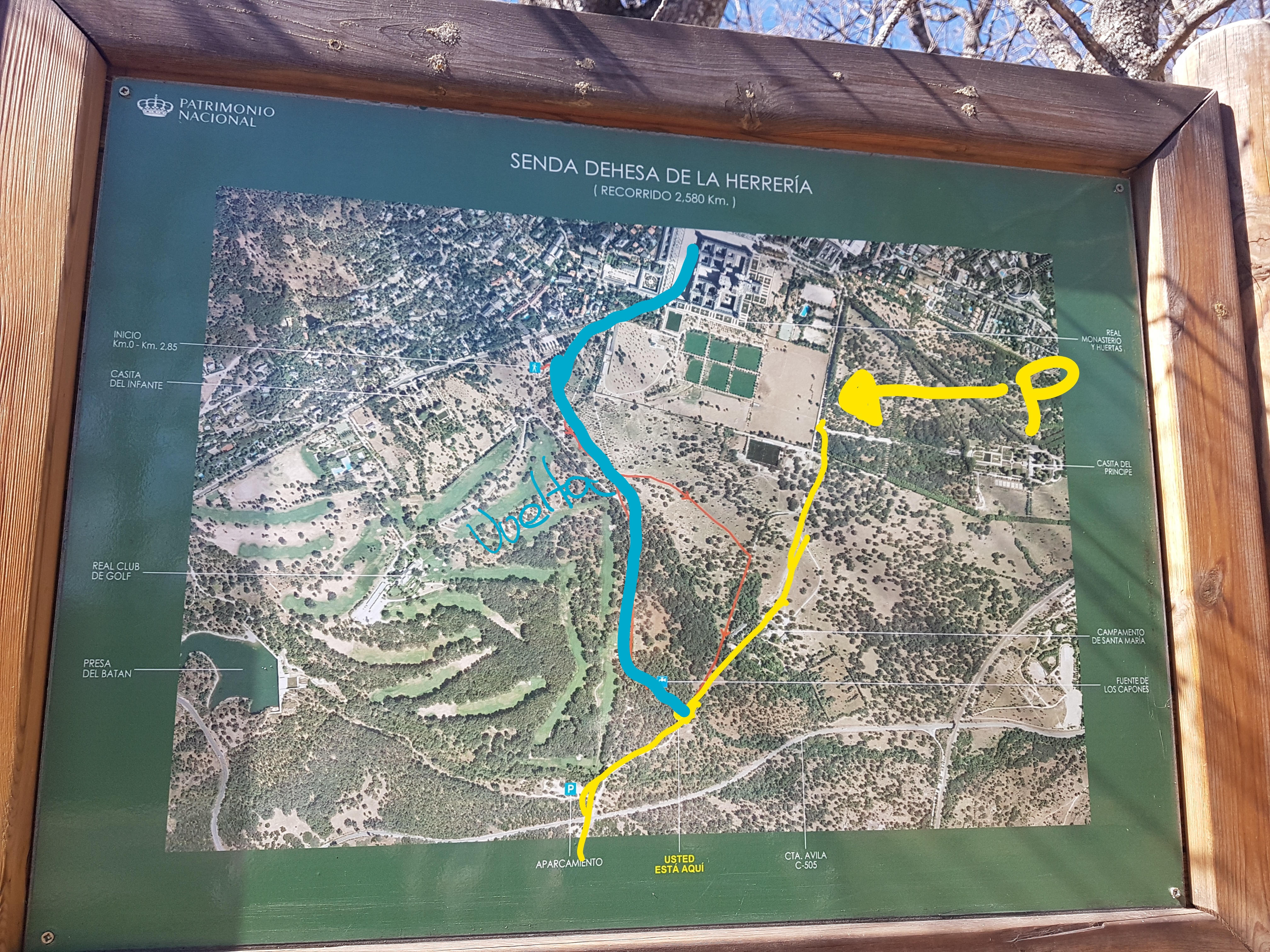 20190309_115909_LI (2)